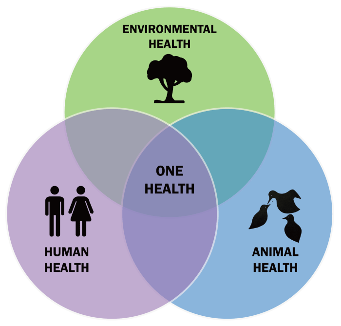 One-Health-Triad-en-e1724991216404