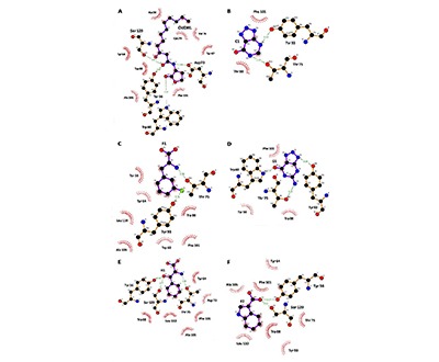 biofilm-detection-control