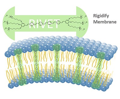 bioprocessing-circular-economy