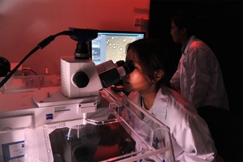 capacity-imaging-2