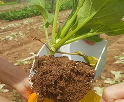 microbiomes-in-food-production
